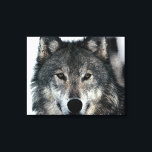 Gray Wolf Eyes Wrapped Canvas Leinwanddruck<br><div class="desc">Pop Art Style Howling Gray Wolf Portrait - Wilde Tiere Digitale Kunstwerke</div>