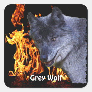 GRAY WOLF & FOREST FIRE Wildlife Supporter Quadratischer Aufkleber