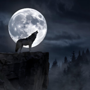 Gray Wolf Full Moon Silhouette