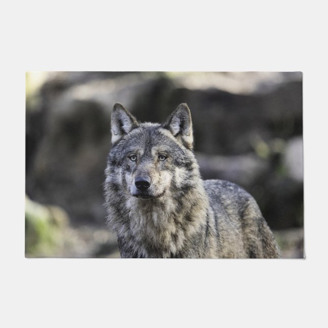 Gray Wolf Fußmatte (Vorderseite)