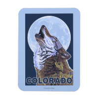 Gray Wolf HowlingColorado