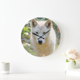 Gray Wolf, kanadische Tierfotografie Große Wanduhr