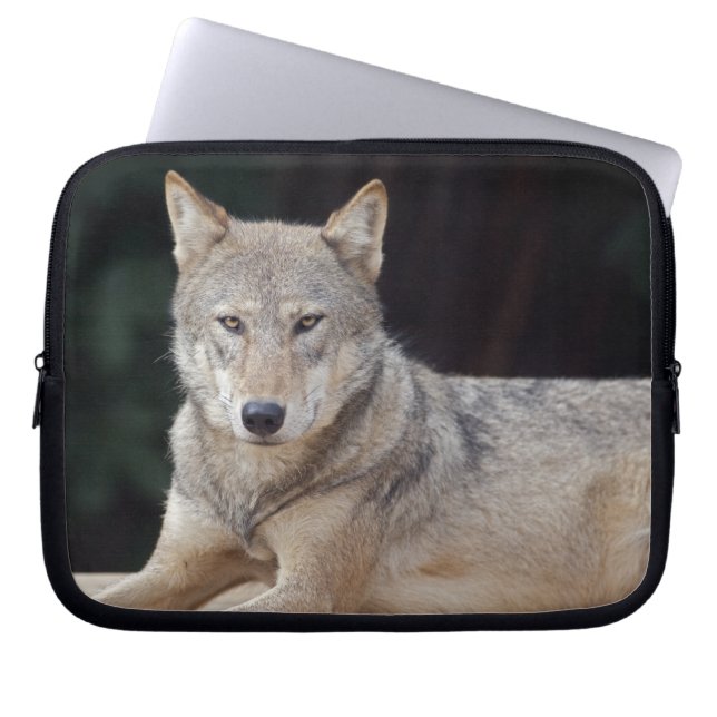 Gray Wolf Laptop Sleeve (Vorderseite)