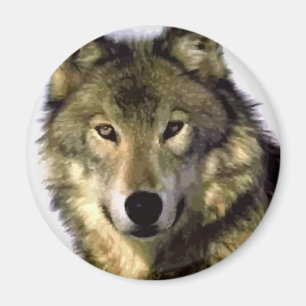Gray Wolf Magnet