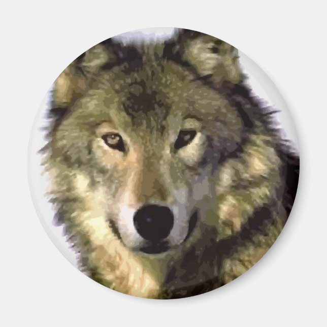 Gray Wolf Magnet (Vorne)