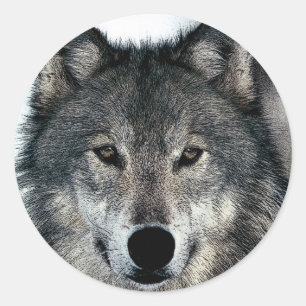 Gray Wolf Runder Aufkleber