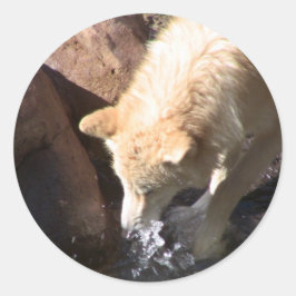 Gray Wolf Runder Aufkleber