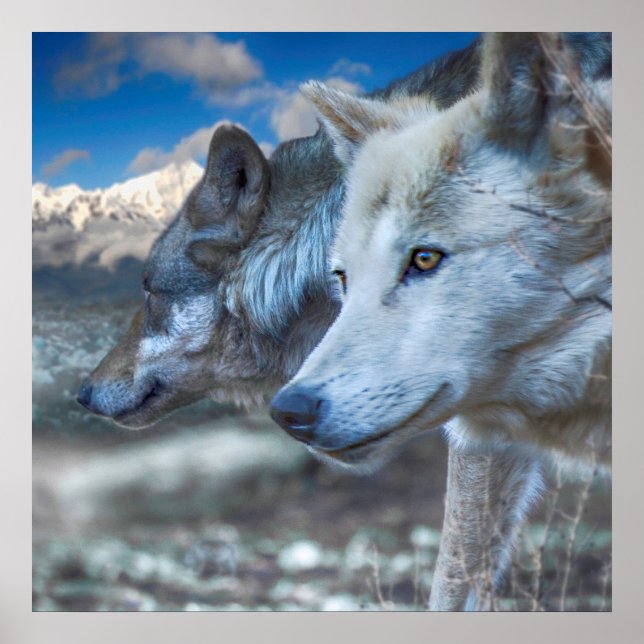 Gray Wolf SENTINELS Poster (Vorne)