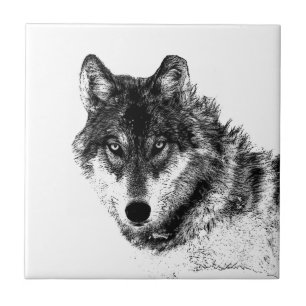 Gray Wolf Sketch Artwork Fliese
