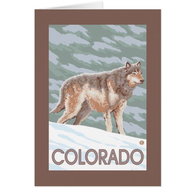 Gray Wolf StandingColorado (Vorne)