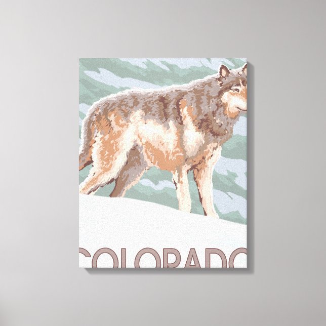 Gray Wolf StandingColorado Leinwanddruck (Vorderseite)