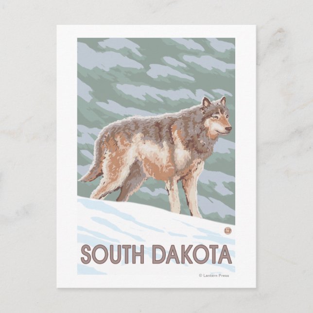 Gray Wolf StandingSouth Dakota Postkarte (Vorderseite)