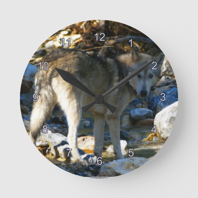Gray Wolf & Stony Creek Foto Clock Runde Wanduhr (Vorderseite)