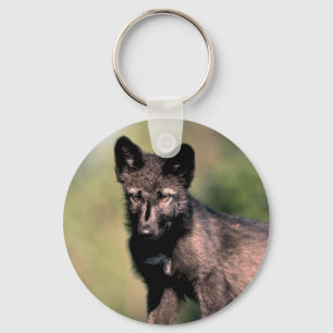 Gray Wolf-Summer-(Black-Phase) cub Schlüsselanhänger