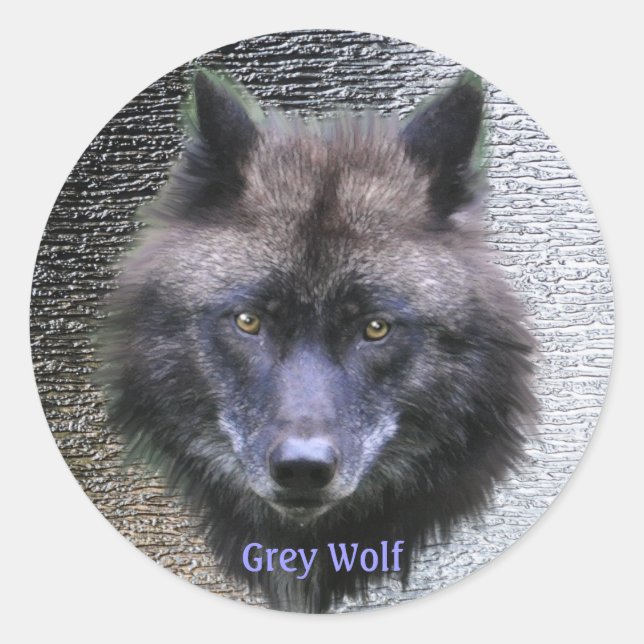 GRAY WOLF TÊTE Stickers de soutien de la faune (Devant)