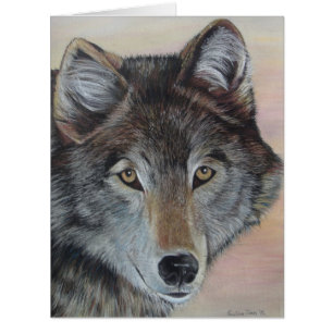 gray wolf wildlife against sunset sky