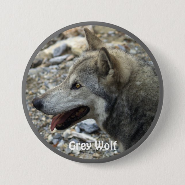 Gray Wolf Wildlife-lover Collector Abzeichen Button (Vorderseite)