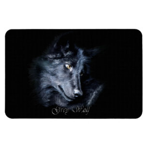 Gray Wolf Wildlife Portrait auf einem Flexi Magnet