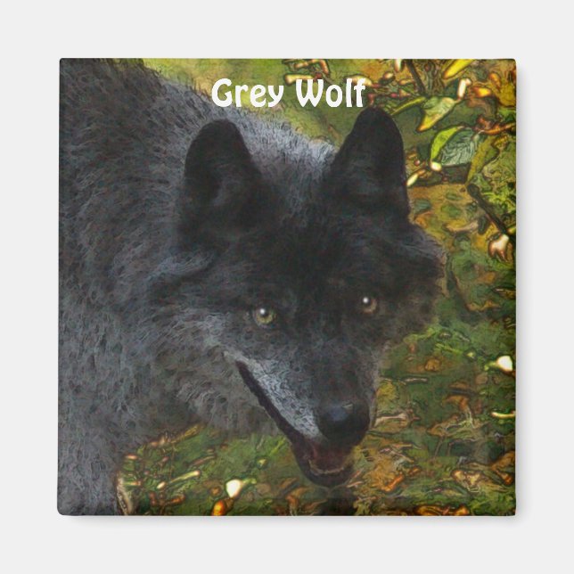 GRAY WOLF Wildlife Supporter Art Magnet (Devant)