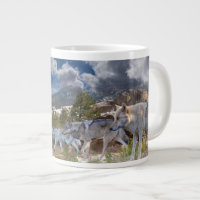 Gray Wolves Familienreise