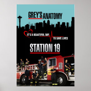 Grays Anatomy and Station 19 Poster
