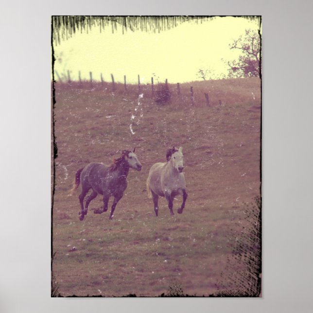 Grays Gallop Poster (Vorne)