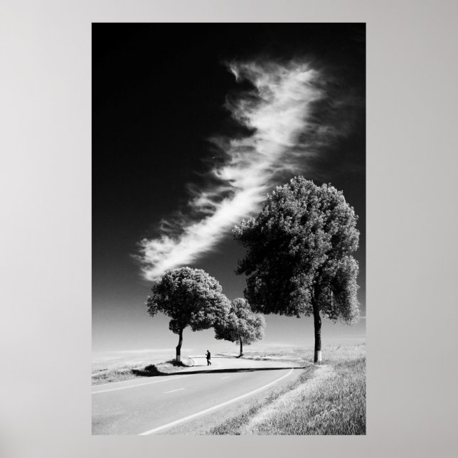 GRAYSCALE FOTO DER PERSON AUF DER STRASSE ZWISCHEN POSTER (Vorne)