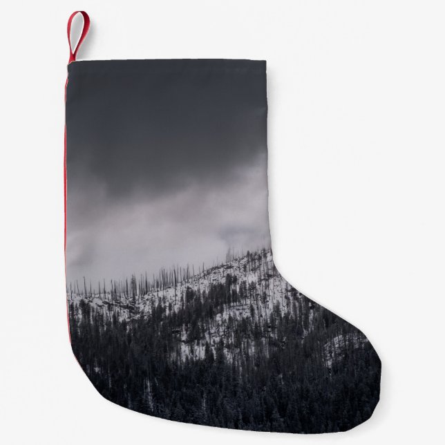 GRAYSCALE-FOTO KLEINER WEIHNACHTSSTRUMPF (Vorderseite)