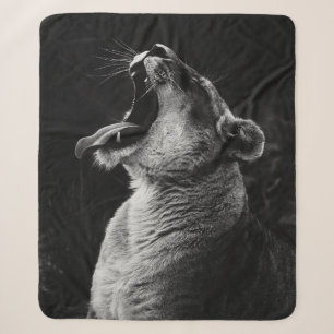 GRAYSCALE FOTOGRAFIE DER YAWNING LIONESS SHERPADECKE