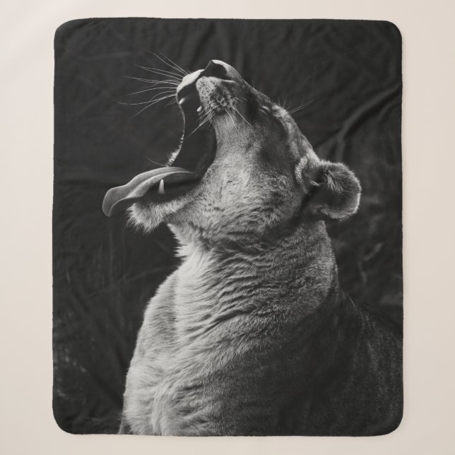 GRAYSCALE FOTOGRAFIE DER YAWNING LIONESS SHERPADECKE (Vorderseite)