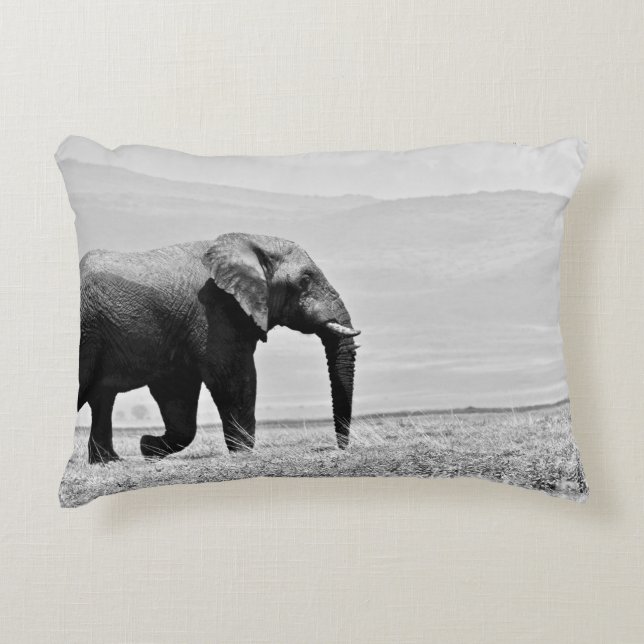 GRAYSCALE FOTOGRAFIE DES ELEPHANS DEKOKISSEN (Vorderseite)