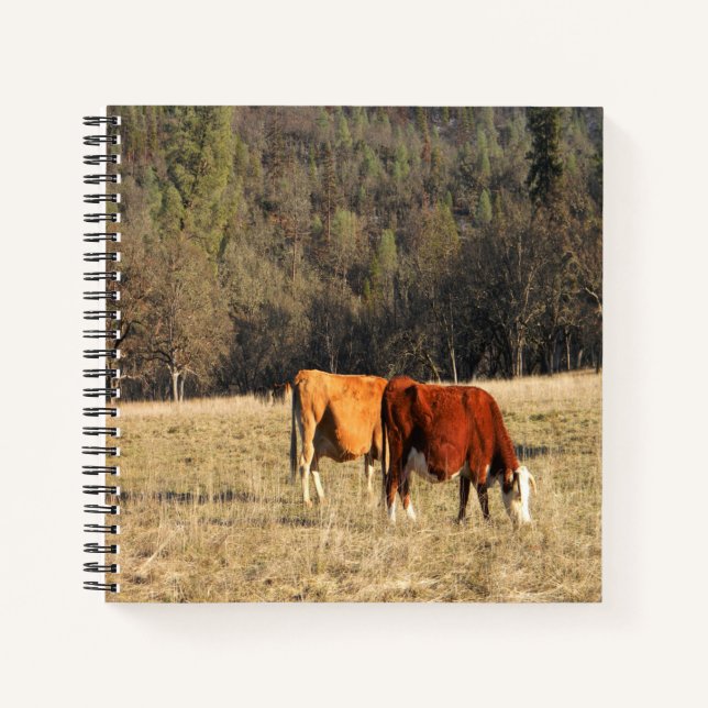 Grazin'... Notizbuch (Vorderseite)