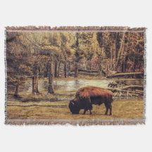 Grazing Buffalo Throw Blanket