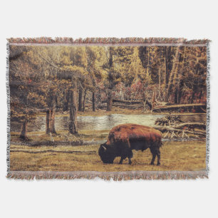 Grazing Buffalo Throw Blanket Decke