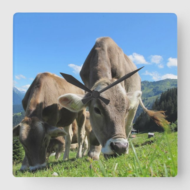 Grazing Cow Clock Quadratische Wanduhr (Vorderseite)