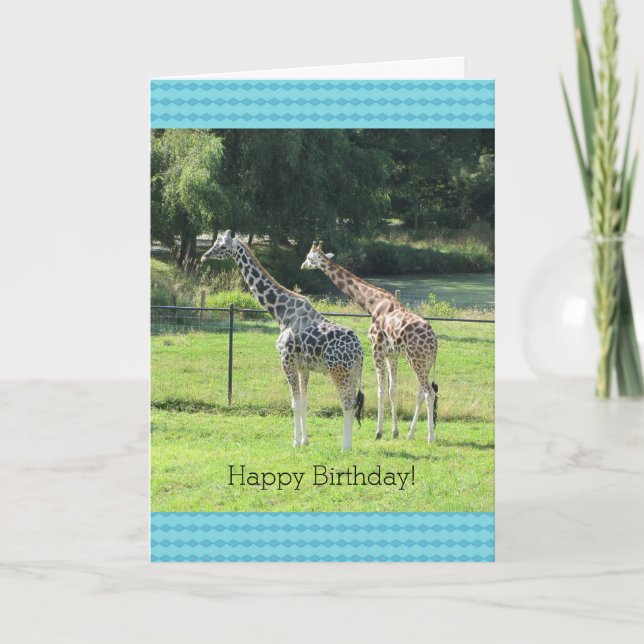Grazing Giraffen Geburtstagsgrüße Karte (Vorderseite)
