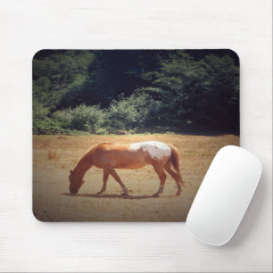 Grazing Palomino.... Mousepad
