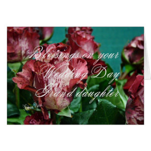 GRD-zz des roses WD 11 de Megan