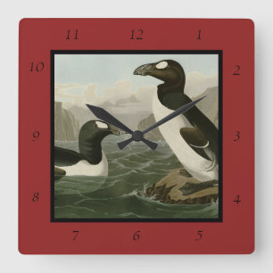 Great Auk - John James Audubon's Birds of America Quadratische Wanduhr