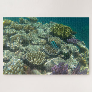 Great Barrier Reef
