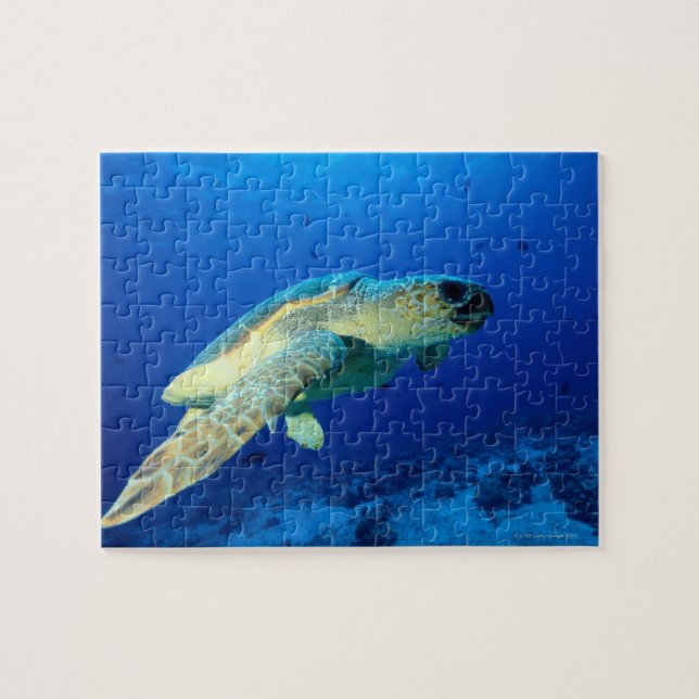 Great Barrier Reef, Australien 2 (Horizontal)