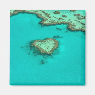 Great Barrier Reef, Australien-Herzkoralle Magnet