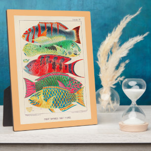 Great Barrier Reef Fish Fotoplatte