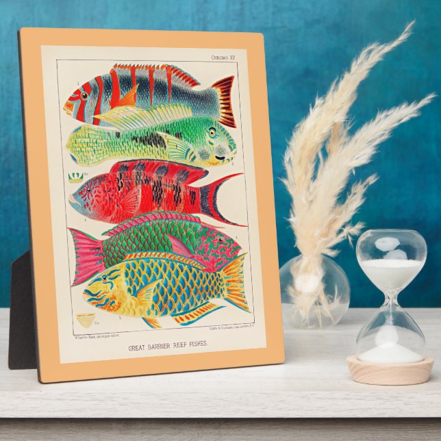 Great Barrier Reef Fish Fotoplatte (Seite)