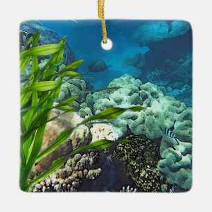 Great Barrier Reef Keramikornament
