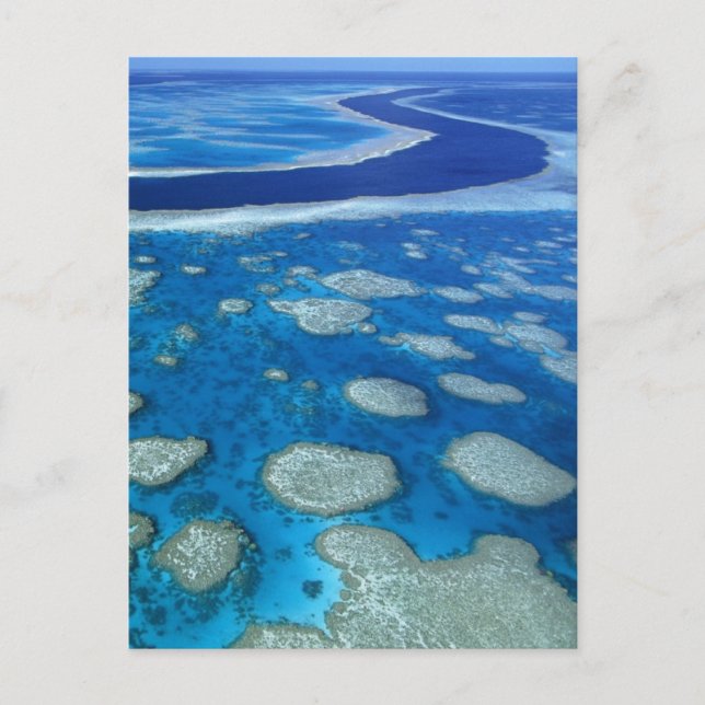 Great Barrier Reef Marine Park Queensland AU Postkarte (Vorderseite)