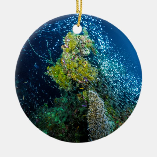 Great Barrier Reef tropisches Fisch-Korallenmeer Keramikornament (Vorne)