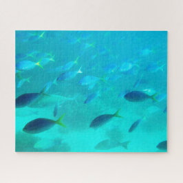Great Barrier Reef unter Wasser herausfordernd