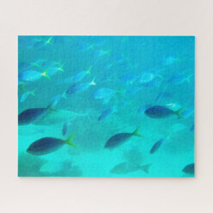 Great Barrier Reef unter Wasser herausfordernd