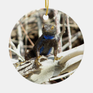 Great Basin Fence Lizard im Joshua Tree Keramikornament